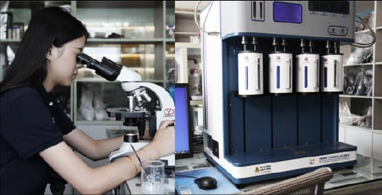 LNPE Lab